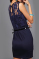 Blue Bodycon Above Knee Plus Size Lace Dress for Casual Evening Party