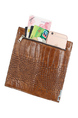 Brown Leatherette Credit Card Photo Holder Bifold Men Wallet