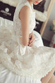 White Above Knee Fit & Flare Plus Size Dress for Party Evening Cocktail