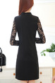 Black Long Sleeve Shift Above Knee Plus Size Lace Dress for Casual Evening Office On Sale