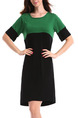 Black and Green Shift Above Knee Plus Size Dress for Casual
