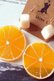 Alloy Stud Sweet Lemon Orange  Earring