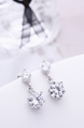 Silver Plated Dangle Crystal Stud Earring