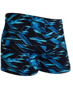 Blue Green Trunks Printed Plus Size Nylon Swim Shorts Swimwear