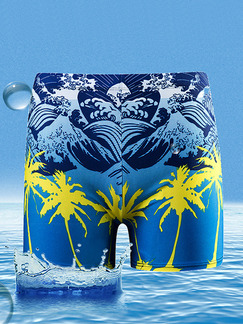 Blue and Yellow Trunks Printed Nylon Swim Shorts Swimwear
