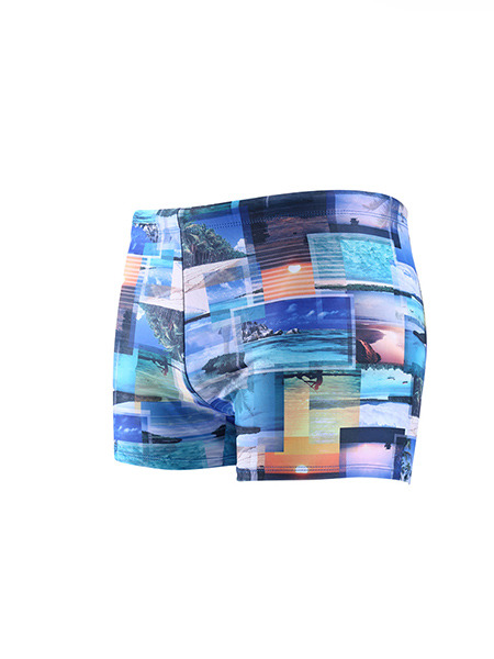 Colorful Plus Size Printed Quick Dry Adjustable Waist Swim Shorts Swimwear for Swimming