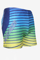 Blue Green and Yellow Plus Size Contrast Stripe Letter Swim Shorts Swimwear for Swimming