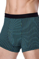 Blue Green Stripe Boxer Brief Viscose Fiber Underwear